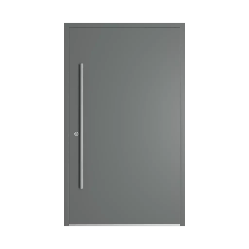RAL 7005 Gris souris portes-dentree modeles dindecor sk06-grey  