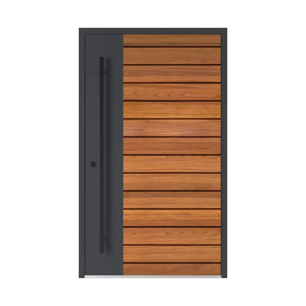 Model 6123 ✨ portes-dentree couleurs-des-portes couleurs-standard noix 