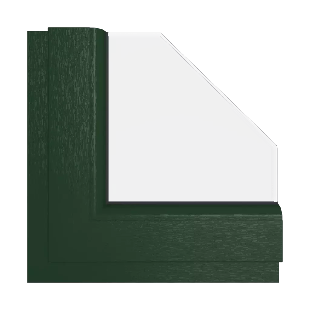 Vert RAL 6009 fenetres couleur-de-la-fenetre couleurs-de-gelan vert-ral-6009 interior