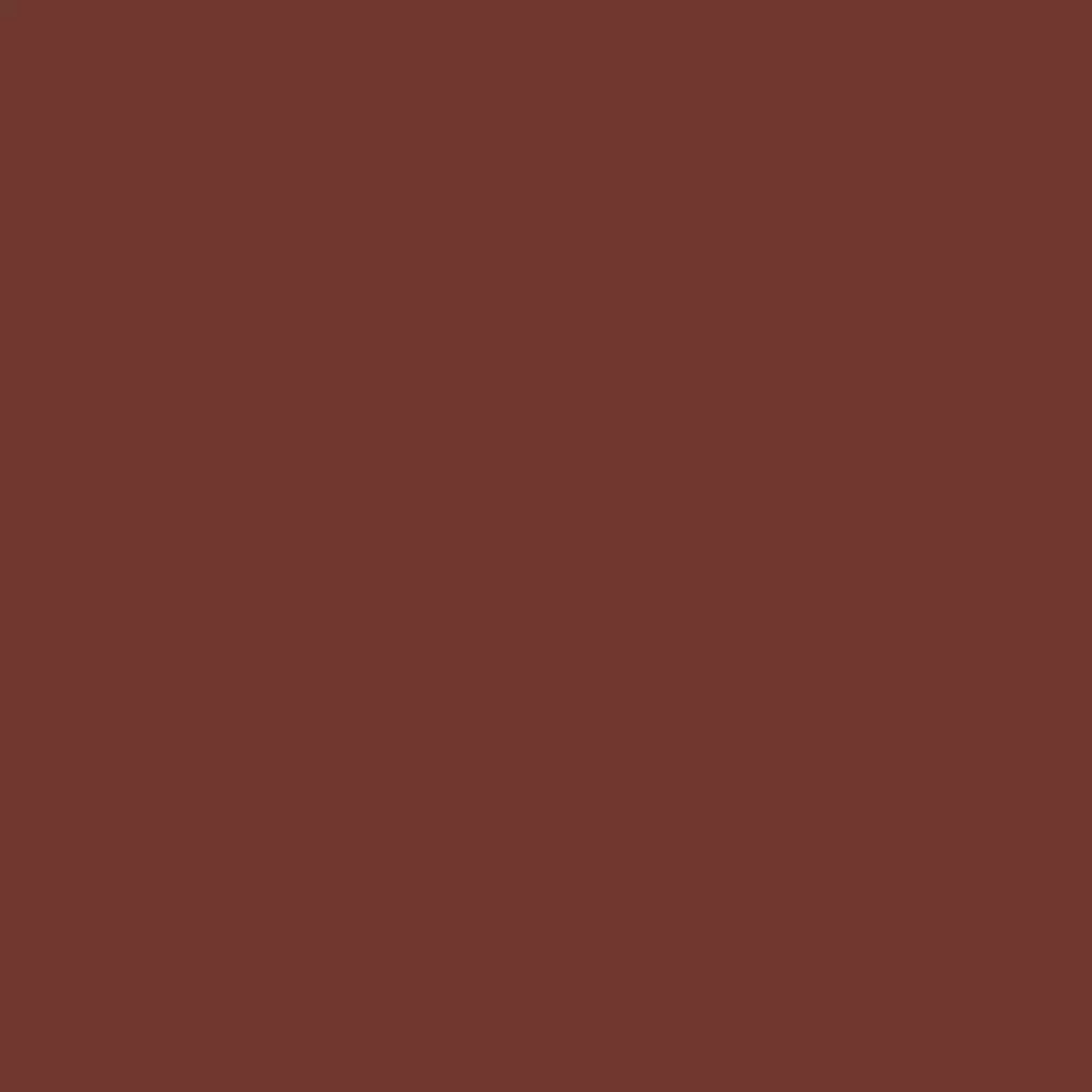 RAL 3009 Rouge oxyde fenetres couleur-de-la-fenetre aluminium-ral ral-3009-rouge-oxyde texture