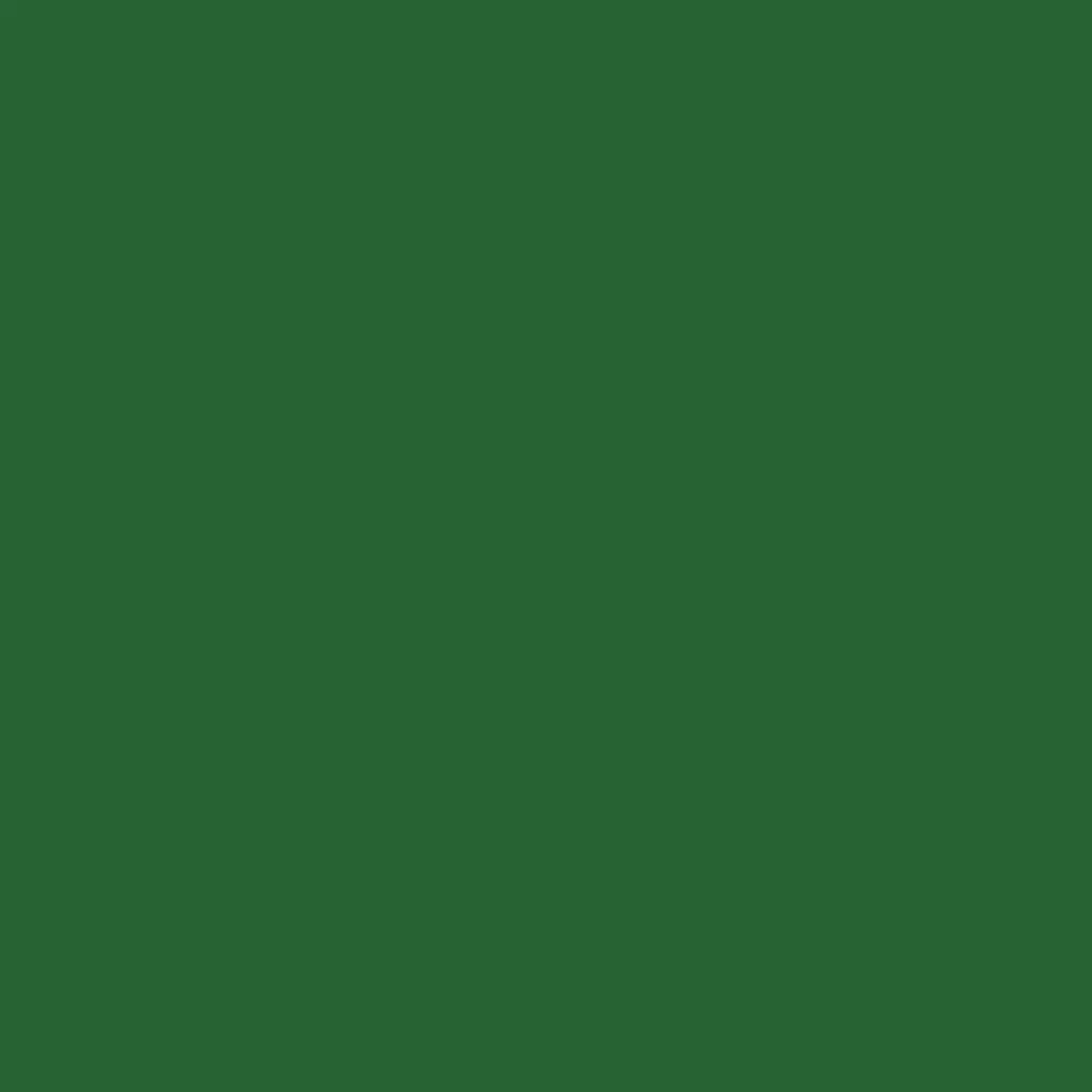 RAL 6002 Vert feuillage fenetres couleur-de-la-fenetre aluminium-ral ral-6002-vert-feuillage texture