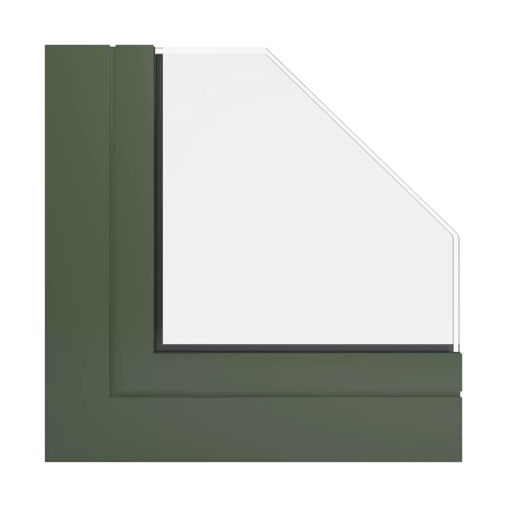 RAL 6003 Vert olive des-produits fenetres-de-facade    