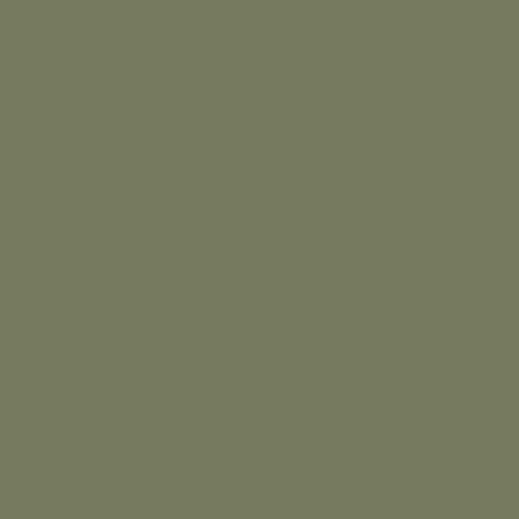 RAL 6013 Vert jonc fenetres couleur-de-la-fenetre aluminium-ral ral-6013-vert-jonc texture