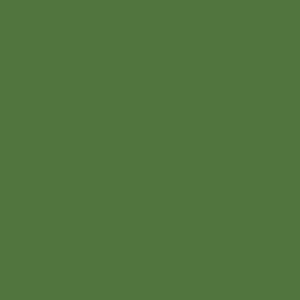 RAL 6025 Vert fougère fenetres couleur-de-la-fenetre aluminium-ral ral-6025-vert-fougere texture
