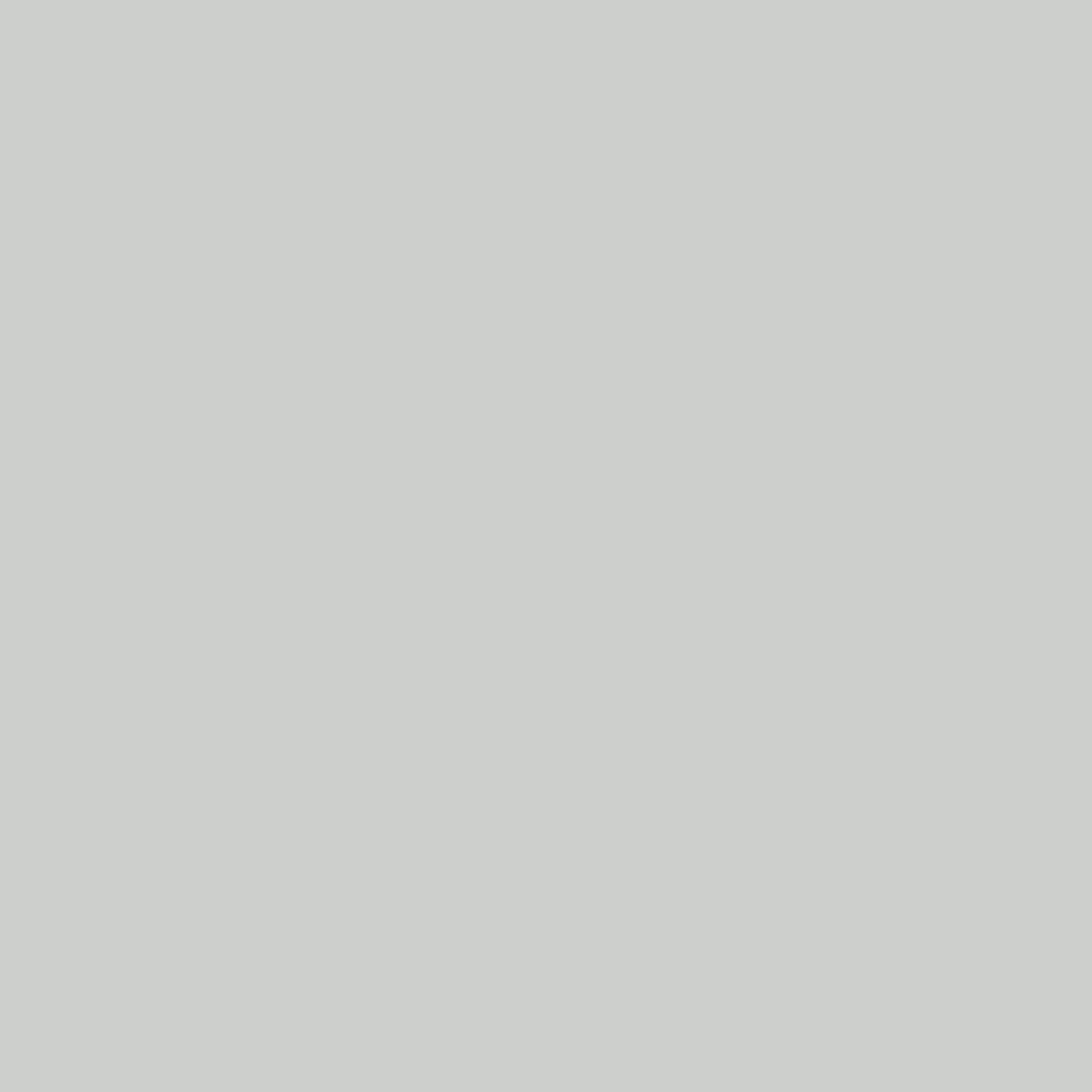 RAL 7035 Gris clair fenetres couleur-de-la-fenetre aluminium-ral ral-7035-gris-clair texture
