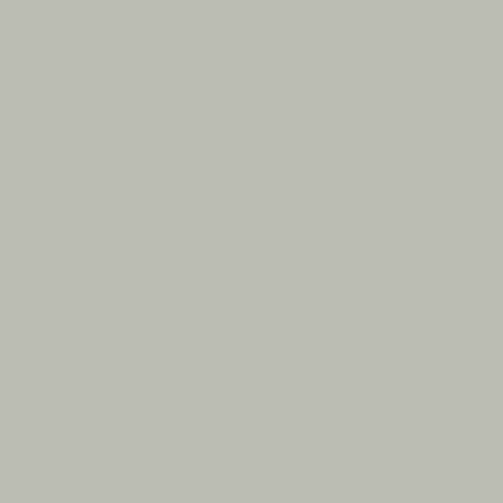 RAL 7044 Gris soie fenetres couleur-de-la-fenetre aluminium-ral ral-7044-gris-soie texture