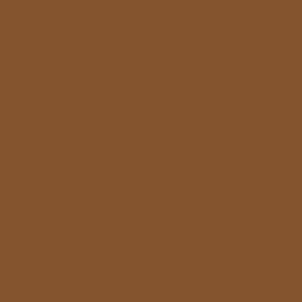 RAL 8003 Brun argile fenetres couleur-de-la-fenetre aluminium-ral ral-8003-brun-argile texture