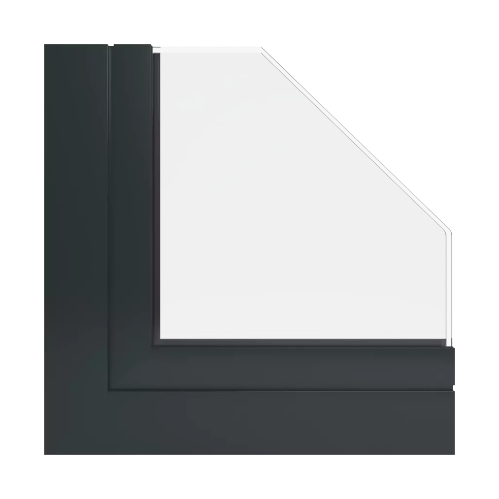 RAL 9017 Noir signalisation fenetres couleur-de-la-fenetre aluminium-ral   