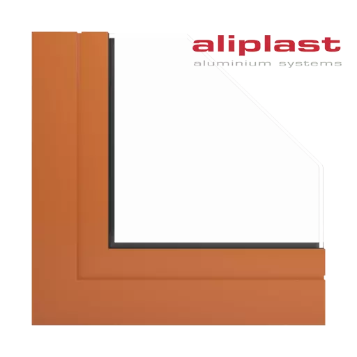 Couleurs Aliplast fenetres couleur-de-la-fenetre  