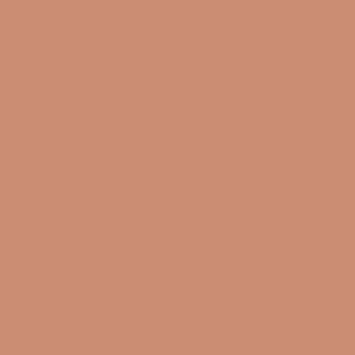 RAL 3012 Rouge beige fenetres couleur-de-la-fenetre aluminium-ral ral-3012-rouge-beige texture