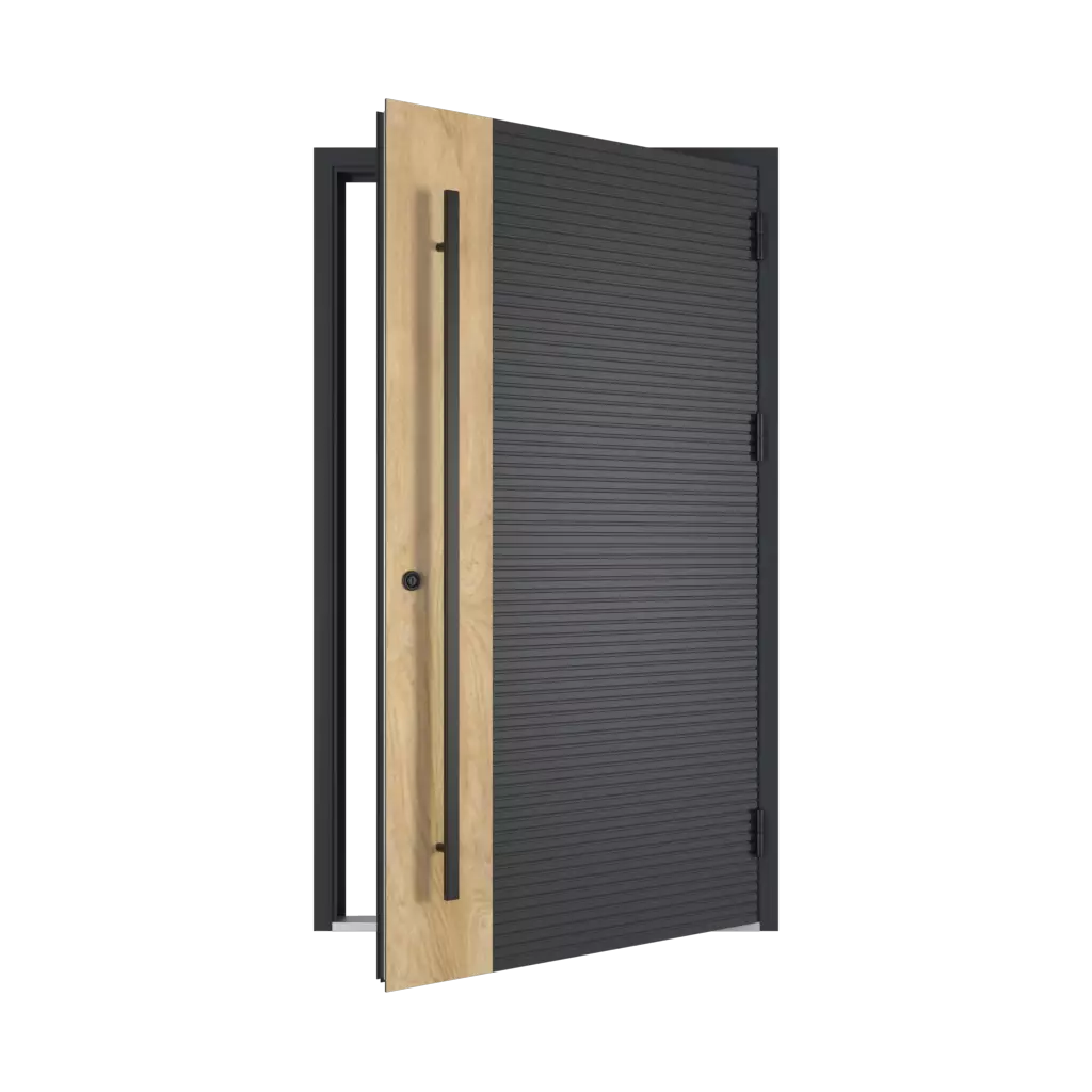Portes d’entrée en aluminium des-produits portes-dentree-en-aluminium